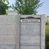 Corbeanca